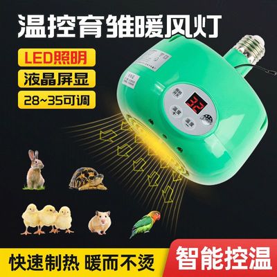 全自动养殖育雏暖风保温