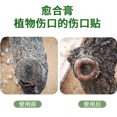 树木伤口愈合剂园林植物愈合膏果树盆景苗木花卉修剪嫁接涂抹剂药