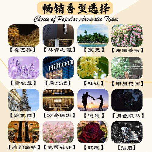 五星级酒店香薰机空n调香氛机新风系统扩香机大型自动喷香机加香