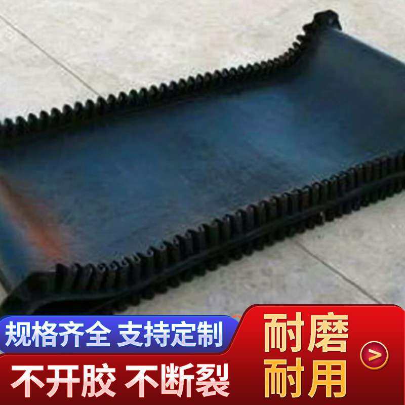 给料机输送带环形CC56输送带电子秤裙边运输带普通棉帆布输送带,标准件/零部件/工业耗材,输送带/传送带,淘宝优惠券,粉丝福利购,淘宝优惠卷