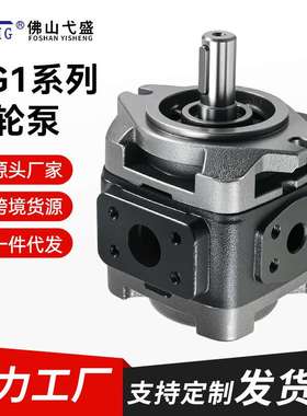 变量泵HG1-25-01R-VPC HG1-25/32/40/50-01R-VPC/VSC-G齿轮油泵
