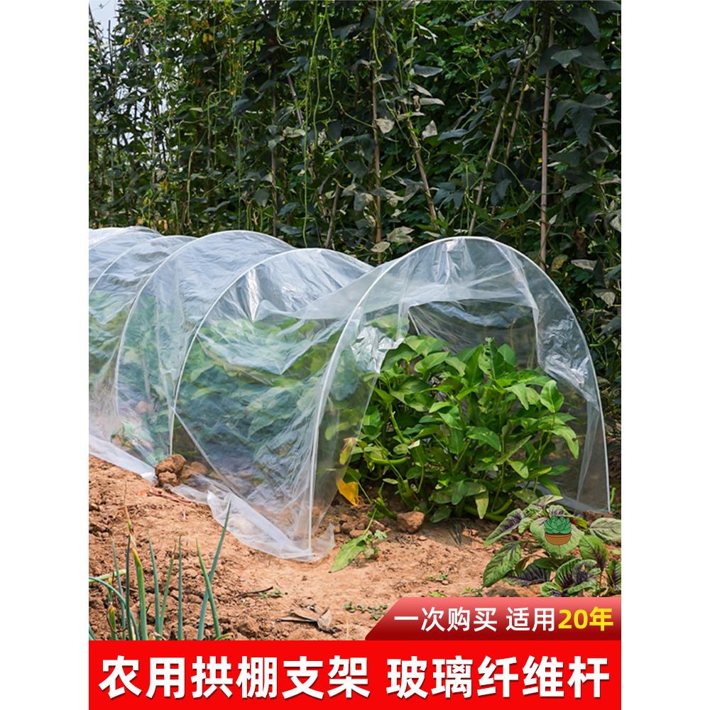 50根新型小拱棚大棚骨架玻璃纤维杆支架实心蔬菜棚家用支撑杆农用
