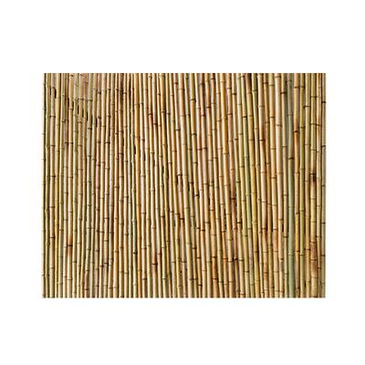 竹篱笆栅栏栏围户外防竹庭腐院花园围栏竹竿笆日式隔断竹竹篱笆墙