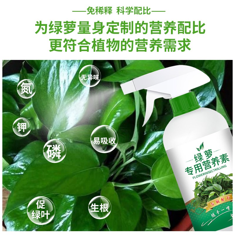 速发绿专萝用营养素植物养卉通用养分补充剂营花液盆栽页面肥易吸