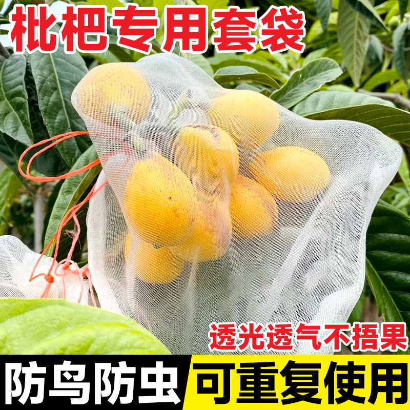 速发枇杷套防专用袋防虫防鸟水果桃雾果袋枇杷果莲子袋虫神器纱网图片