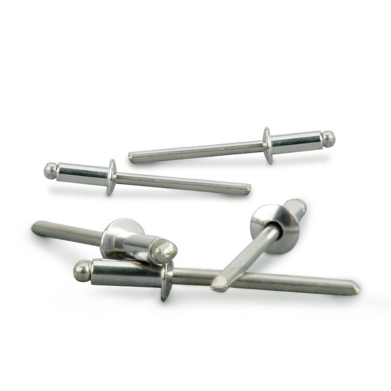 速发04不6钢圆头抽芯铆钉开.拉钉装潢钉M.2M4.8M锈口4*x8x10x1X16