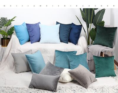 现货速发Luxury Blue Veet Cushio  Piow  Piow Case