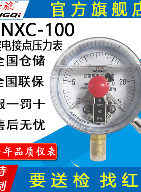 速发红仪向YTXC-100抗耐震磁助式电接力压点表径表触点电压0VA