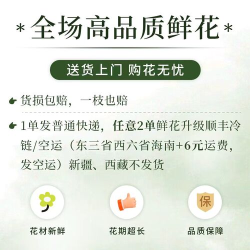 速发黄天霸百合花云南基地直发家用插花水养鲜切花2单发顺丰