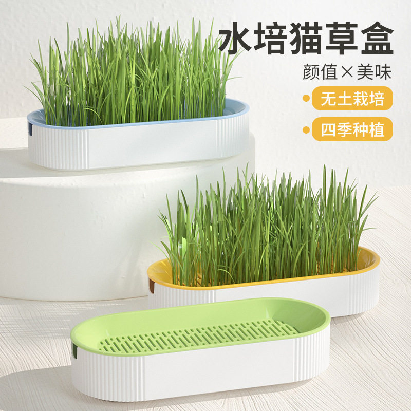 新款猫咪猫零食猫薄荷种植水培盒猫草盆撞色水培猫草盒套装用品