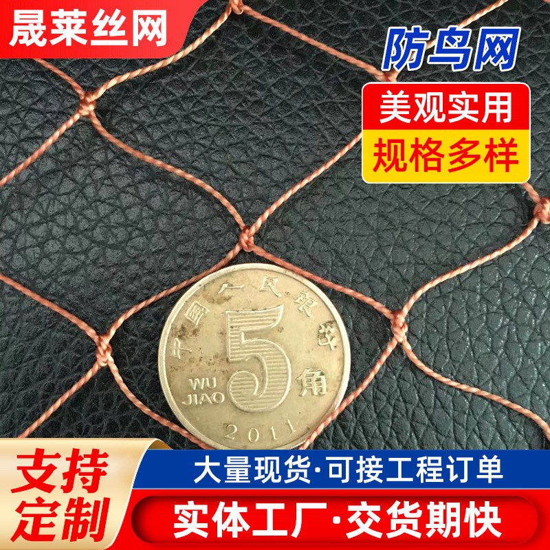 速发果园樱鱼葡萄养殖网 桃塘大拉防鸟网 综丝透明尼龙网可棚伸菱