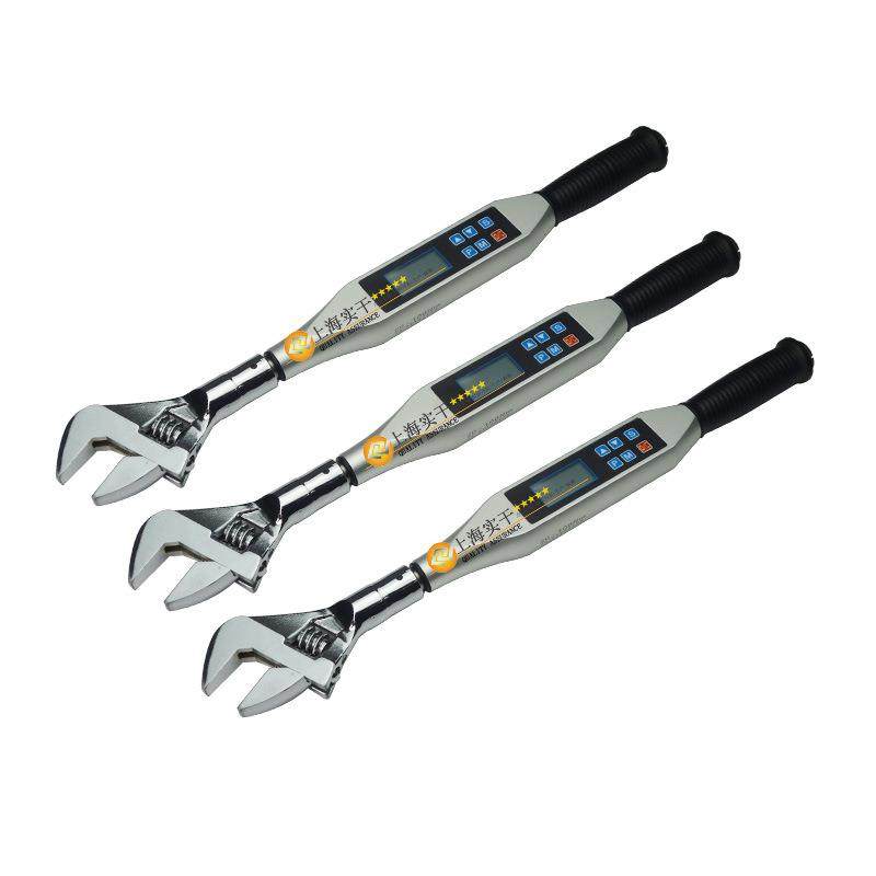 棘轮头扭矩扳手25NM可换头数字式扭力扳手汽修维修扭力工具价格,畜牧/养殖物资,畜牧/养殖器械,淘宝优惠券,粉丝福利购,淘宝优惠卷