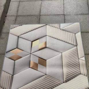 酒店走地毯门进门家用廊走廊过道楼口道楼地垫3D长条梯家用地毯宾