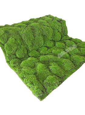 仿真苔绿色草人皮假青藓苔造景草物坪植墙微景FNR观绿植造大鼓包