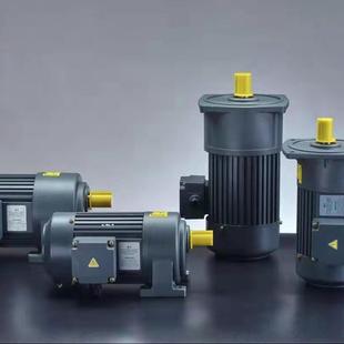 FSM立式 单项齿减速电机2速2轴列三相齿轮减速马达小型齿轮轮减电