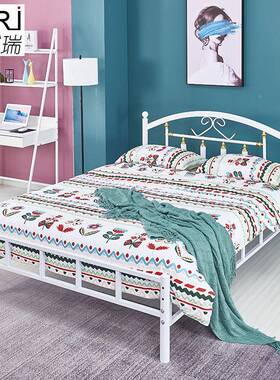 简属约金床11-8EMR米铁艺床网红卧室公主床民宿.公寓酒店创意双人