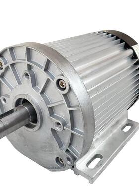 直流无刷电机电动三车机4轮063100w大功率永磁电磁刹电电机0V72V