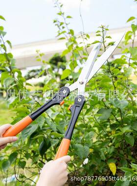 开拓者KT2104/KT223KT2104/K1-D/K-T2101/KT2231/2KT232D整篱剪修