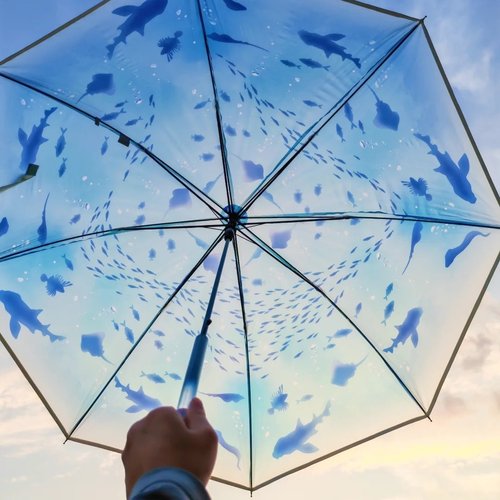适合雨天的水族馆雨伞