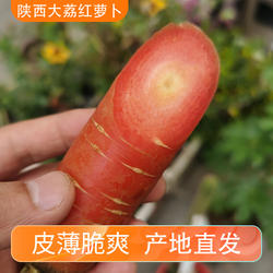 陕西红萝卜带泥沙地农家自种红皮红心胡萝卜透心红蔬菜可水果生吃