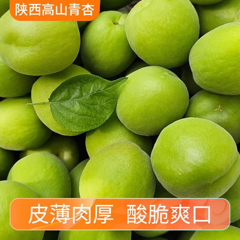 陕西高山青杏农家自种现摘酸脆绿杏子非青梅新鲜当季孕妇水果泡酒