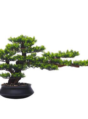 新中式仿真迎客松盆景摆件松树假树绿植客厅酒店玄关人造桌面装饰