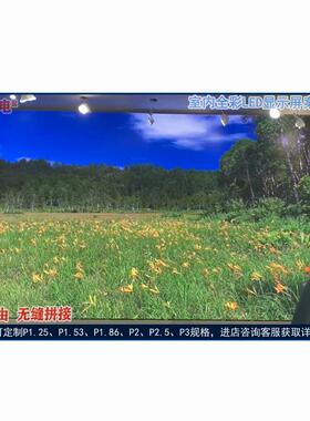 屏LED室内P1.21.51.8户外P2345展厅会议报告舞厅直播背景全彩显示