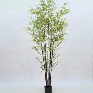 仿真竹子假客厅隔断室内造景观植物室外装饰仿生绿植挡墙绿植墙