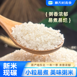 大米2024年新米東北五常稻花香碎米粥米五谷雜糧養(yǎng)胃早餐孕婦粥