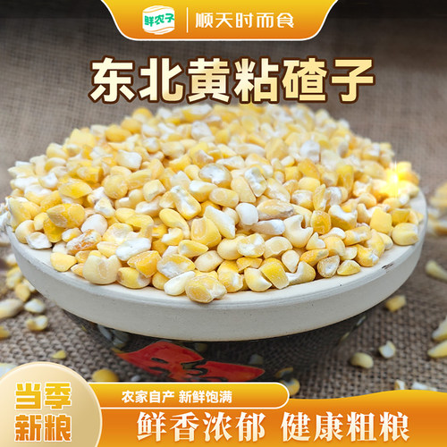 东北黄粘碴子软糯大碴子健康天然粘苞米玉米糁黄粘大碴子黏玉米碴