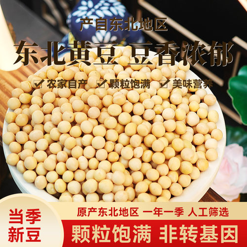 东北黄大豆高蛋白新豆农家自产五谷杂粮豆浆豆芽非转基因黄豆小包