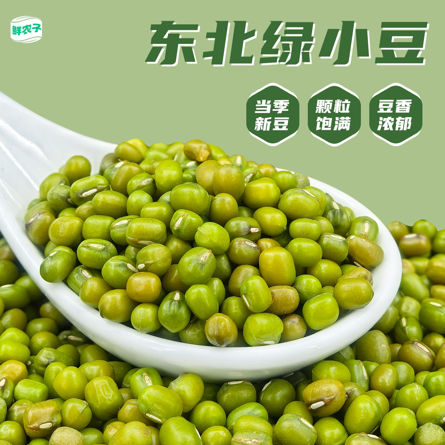 东北新绿豆五谷杂粮精品小绿豆发芽新鲜农家可发芽颗粒饱满绿豆粥