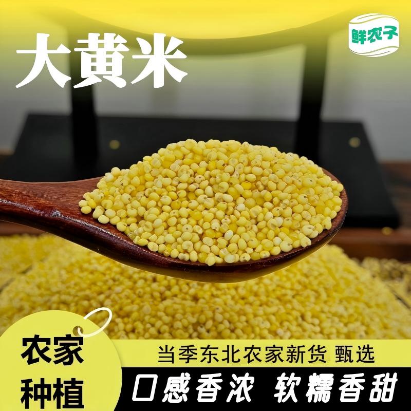 东北大黄米袋装当季新米健康代餐健身饱腹粗粮主食五谷杂粮黄黏米图片
