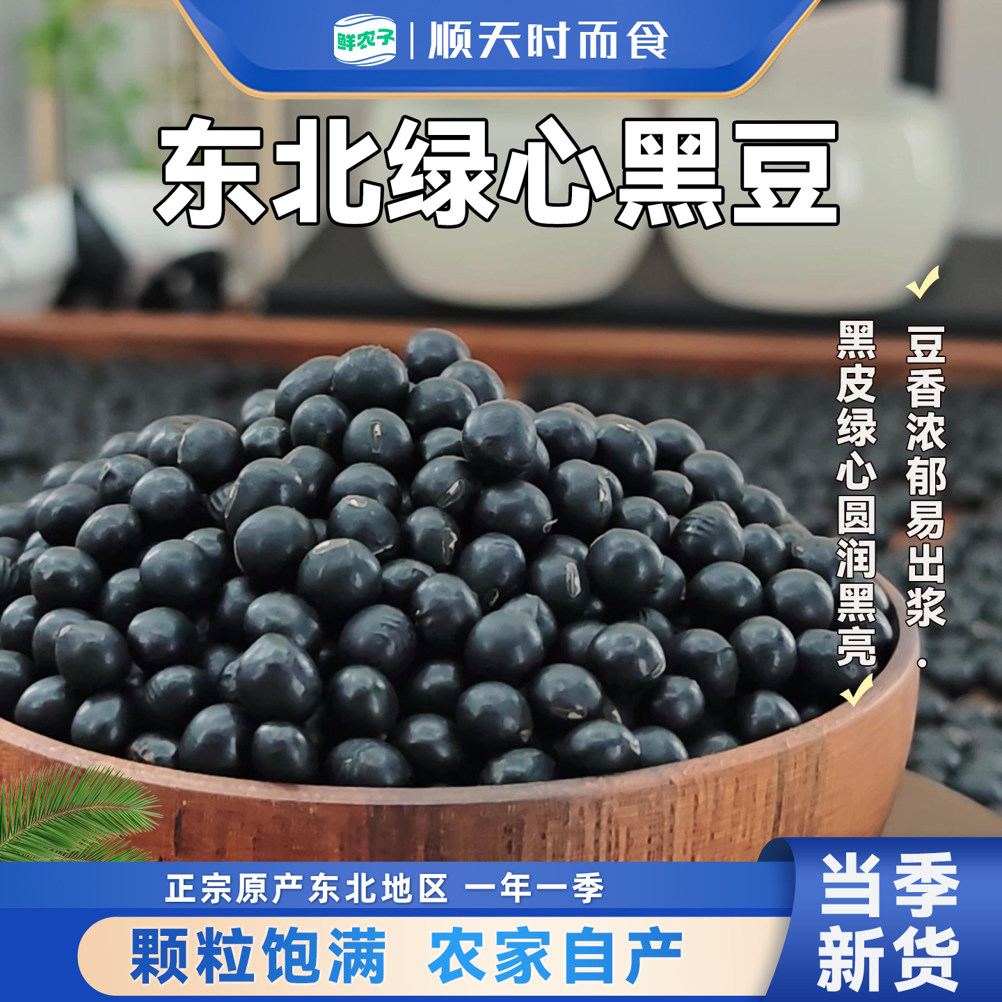 东北绿芯黑豆高蛋白青仁黑豆绿心大豆五谷杂粮磨粉磨豆浆小包装
