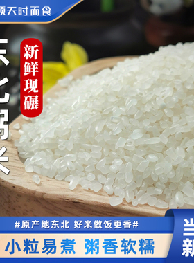 东北粥米2.5kg碎米散装碎米煮粥煮饭小粒白米农家当季营养粥5斤