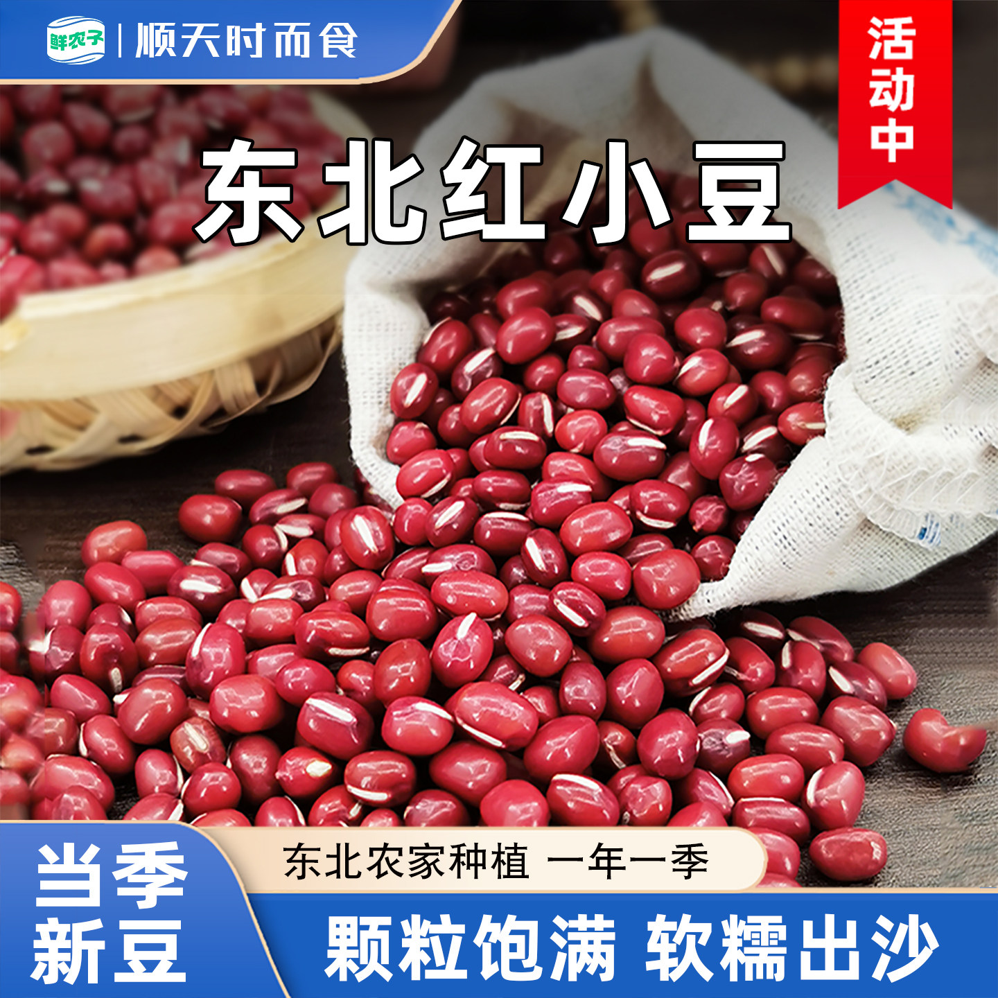 东北红小豆当季新豆农家大红豆五谷杂粮红豆赤小豆粗粮豆子易出沙