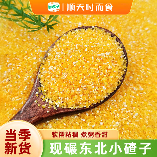 东北小碴子农家自种新粮玉米糁玉米渣子五谷杂粮玉米茬煮粥粗粮