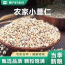 小薏仁小薏米正宗薏仁米新货五谷杂粮薏苡仁红豆赤小豆薏米仁泡水