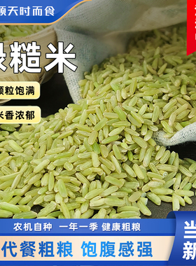 东北长粒绿糙米新货5斤装绿色大米粗粮农家新米胚芽米代餐主食饭
