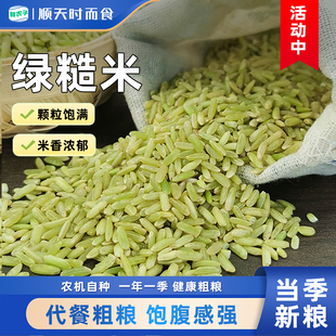 东北长粒绿糙米新货5斤装绿色大米粗粮农家新米胚芽米代餐主食饭