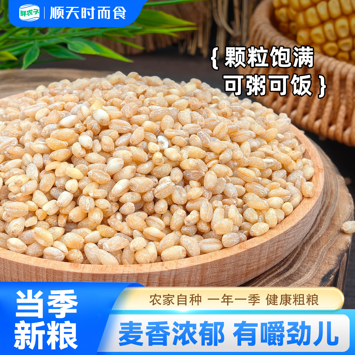 2024东北新货新麦仁米小麦仁去皮优质脱壳带胚芽煮粥饭五谷杂粮