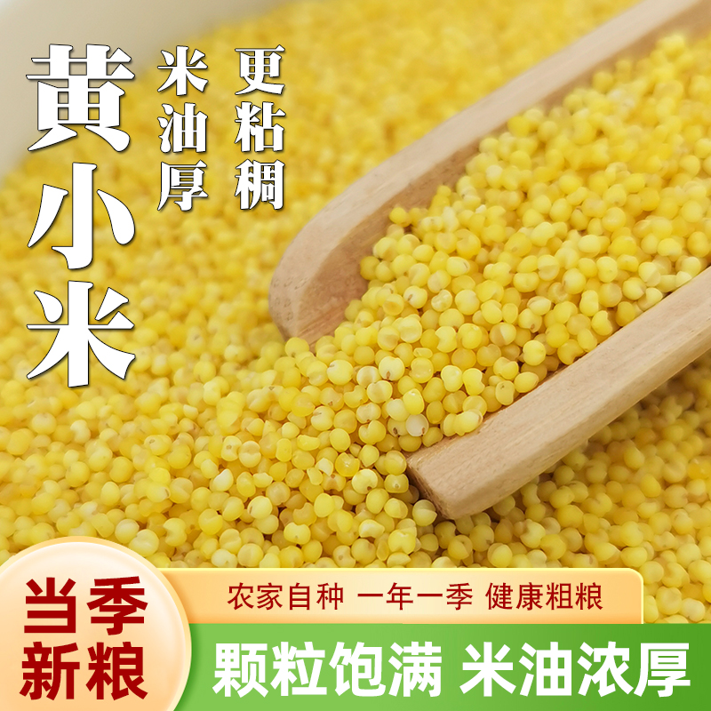 5斤装黄小米农家自种油米新货营养早餐月子粥料粘稠小米粥2.5kg