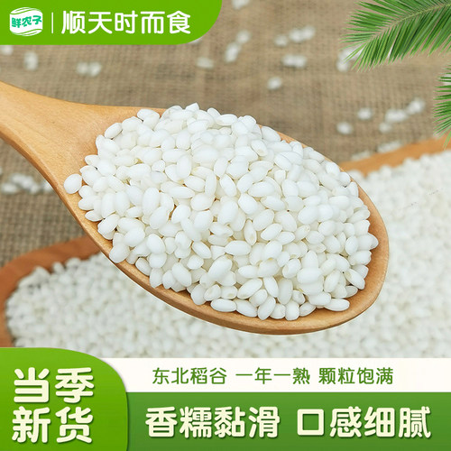 鲜农子东北圆糯米一年一熟