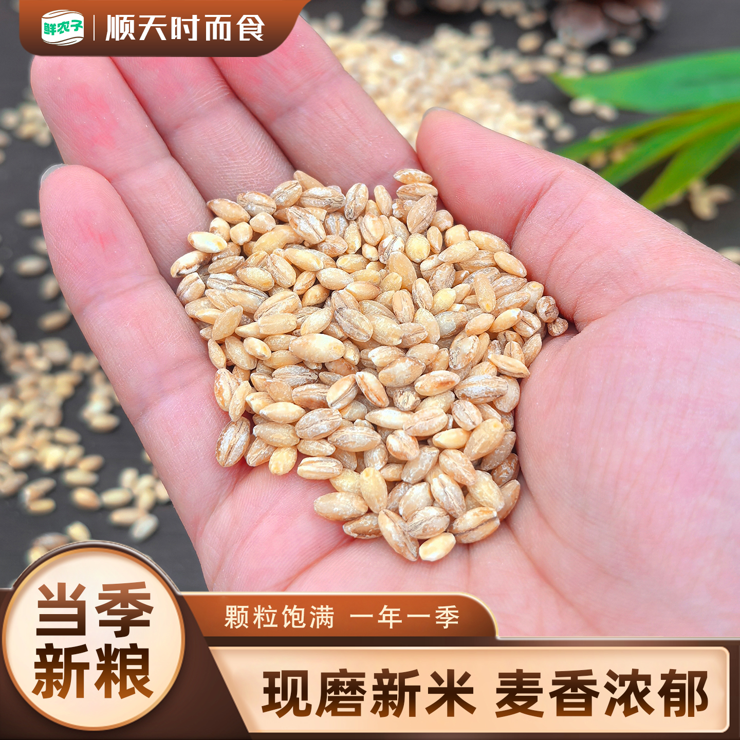 5斤新去皮大麦仁大麦米做粥用农家食品五谷杂粮粗粮煮粥蒸饭1斤