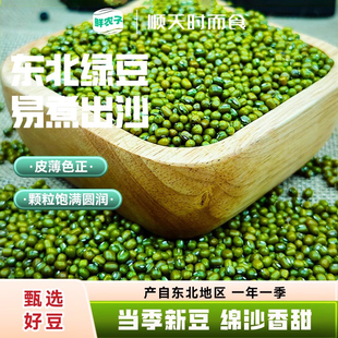 东北新绿豆五谷杂粮精品小绿豆发芽新鲜农家可发芽颗粒饱满绿豆粥