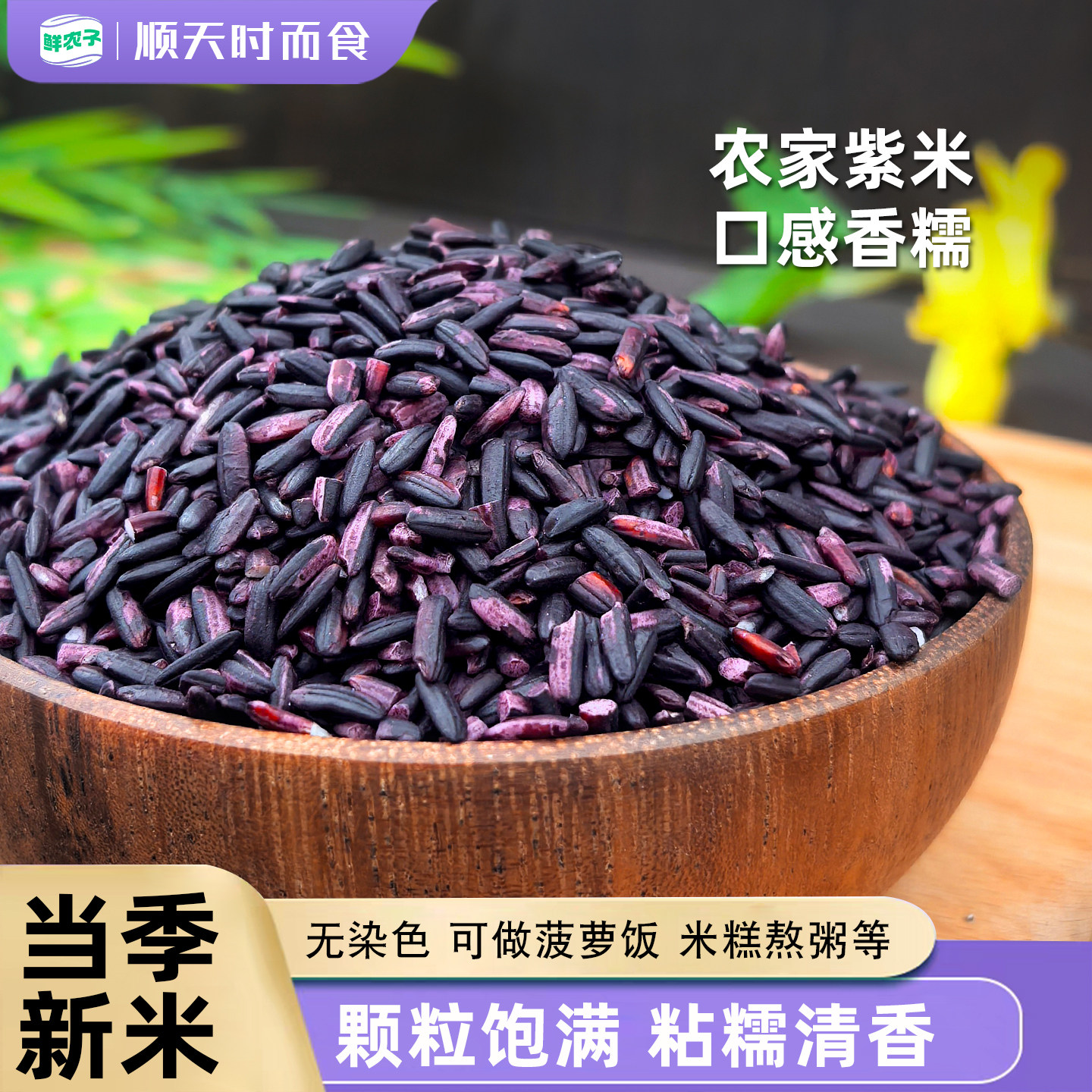 鲜农子新米紫米500g 东北五谷杂粮血糯米紫糯米新货紫糯米