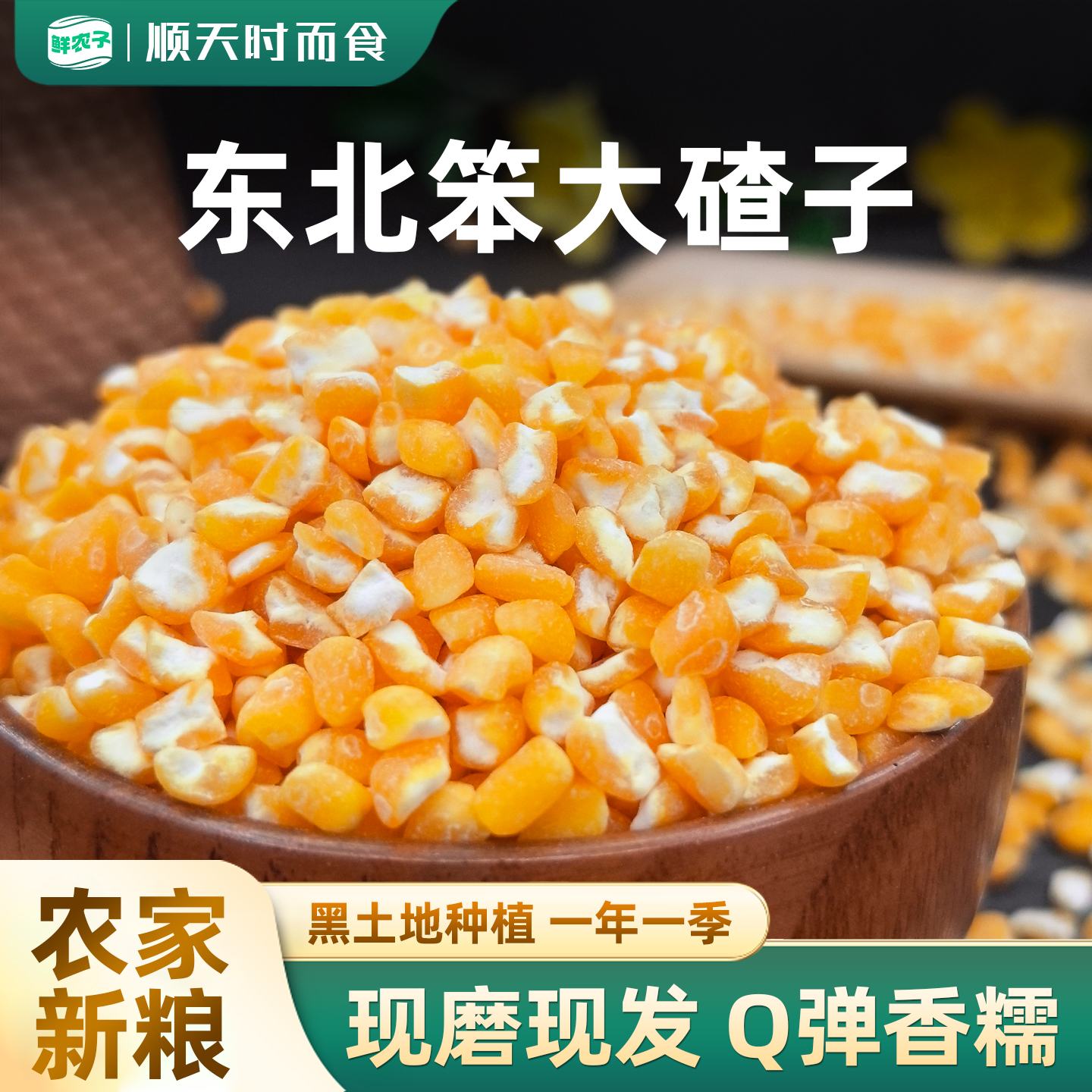 大粒笨大碴子5斤 东北农家新粮去皮玉米笨碴子苞米茬子煮大碴粥