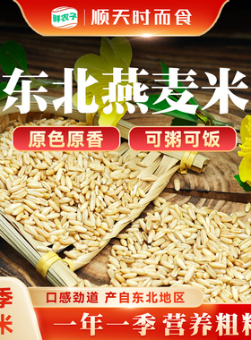 东北燕麦米燕麦仁糙米代餐新米胚芽粗粮可煮粥煲饭五谷杂粮新粮