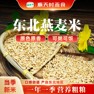 东北燕麦米燕麦仁糙米代餐新米胚芽粗粮可煮粥煲饭五谷杂粮新粮