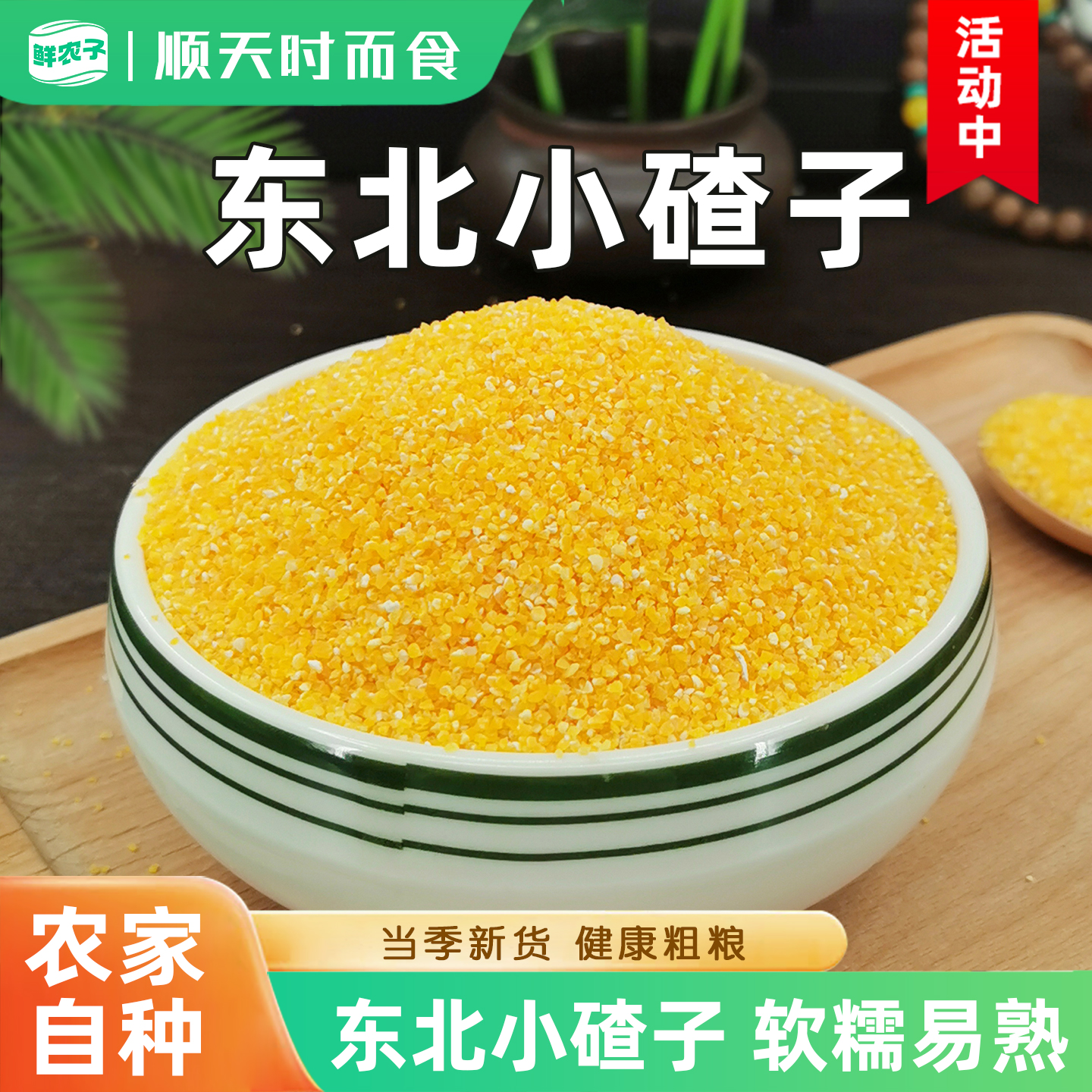 东北玉米小碴子小包装现磨农家玉米糁五谷杂粮细小玉米粒煲粥粗粮